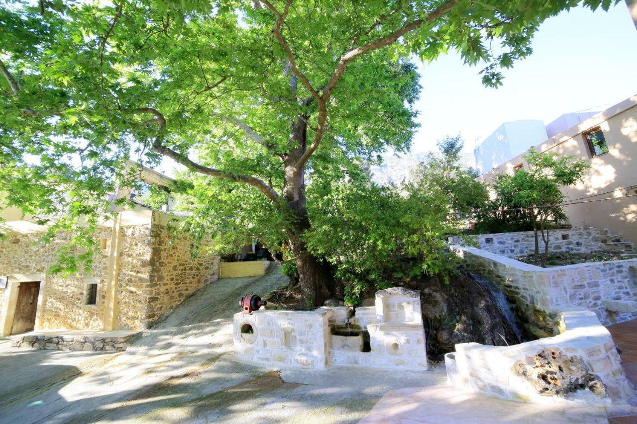 Idi Hotel زاروس المظهر الخارجي الصورة